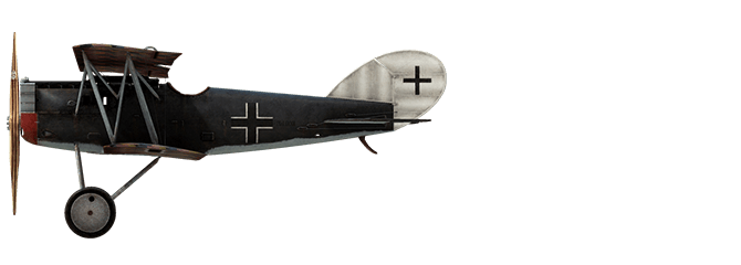 Pfalz D.XII